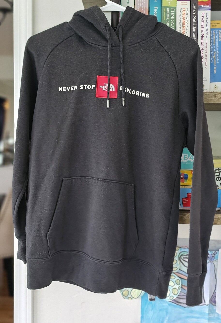 The North Face Women's Never Stop Exploring Hoodie Gray Size Small